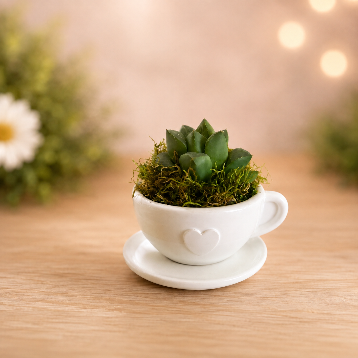 Mini-Sukkulente in Herz-Tasse