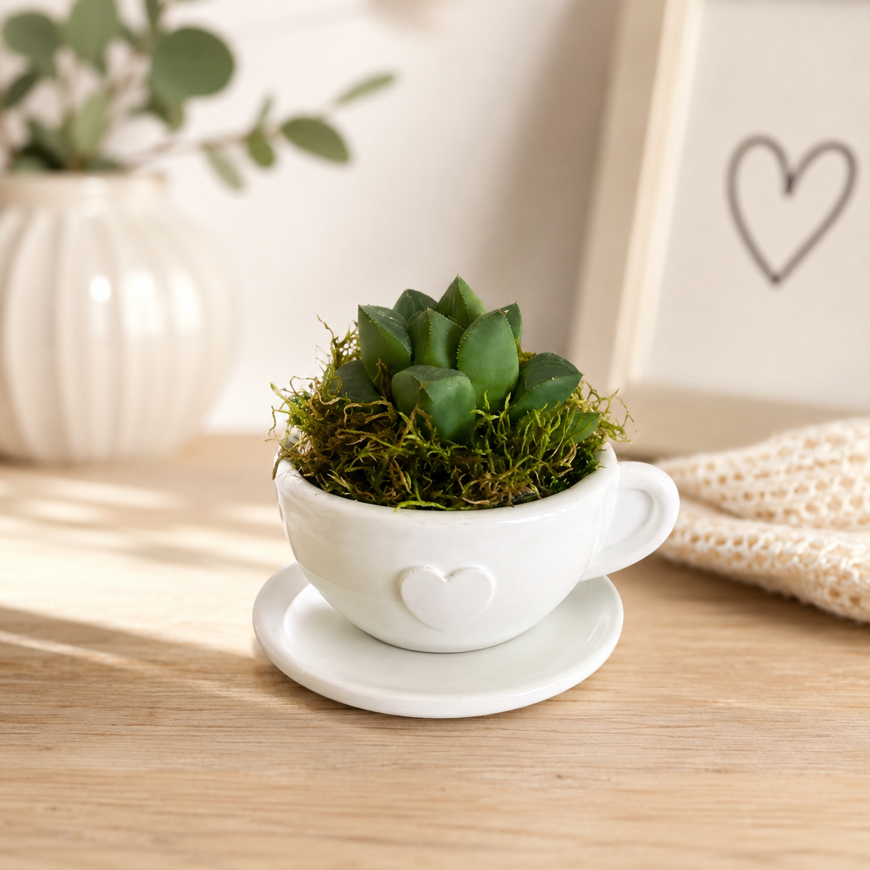 Mini-Sukkulente in Herz-Tasse von Meraviglie di Désirée, grüne Pflanze in liebevoll gestalteter Tasse, perfekte Dekoration für Zuhause
